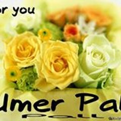 Umer Pall