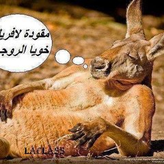 X4dcall