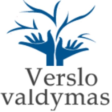Verslo Valdymas / Dainius BersKys