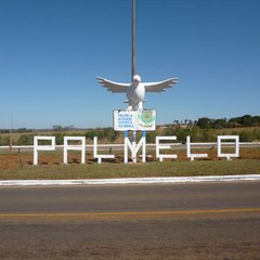 Palmelo News