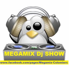 Megamix31