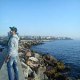 Ragesh Ibrahim