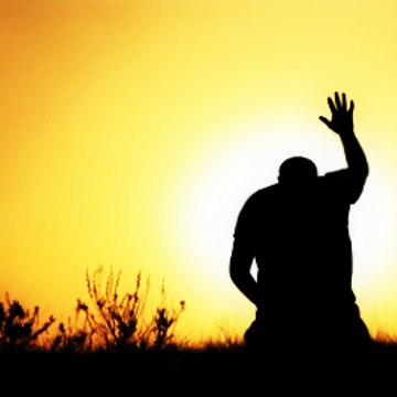 Andre Fernandez Imóveis