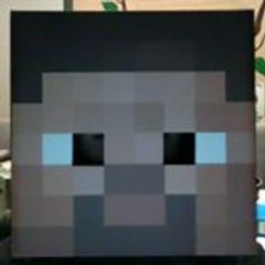 Tomthefighter