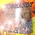 NORMANDY flash