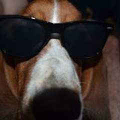 Manolo Inútil A Rauro