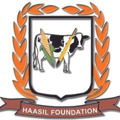 Haasilfoundation2010