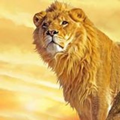 Hammad Lion