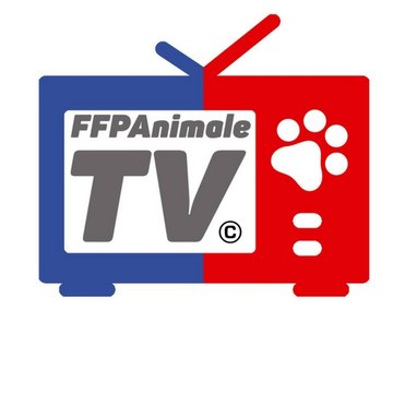 FFPAnimale TV