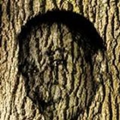 Treiber Roland
