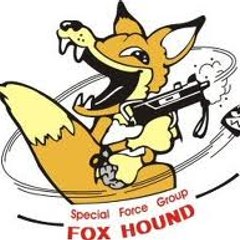 FoxGamer | Gameplays&Reviews