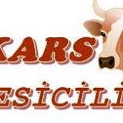 Kars Besicilik