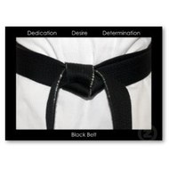 Choeshapkido Karate Duluth