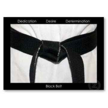 Choeshapkido Karate Duluth