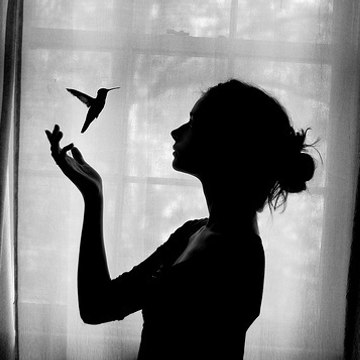 strangebirds