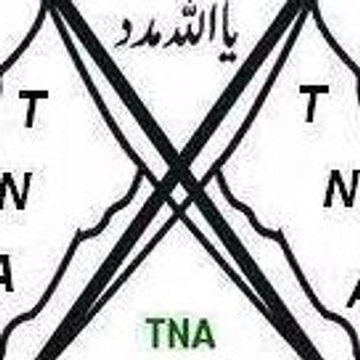 Tnagb313