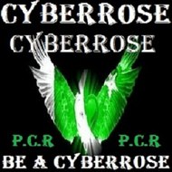 CYBERROSE(P.C.R)