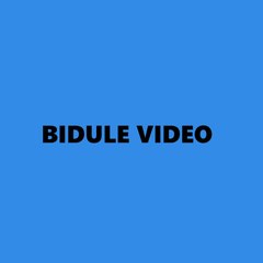 Bidule videos