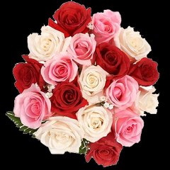 Muhammadtahir421