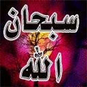 Umar Ayub