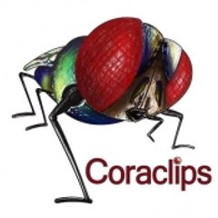 Coraclips