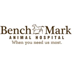 Benchmark Animal Hospital