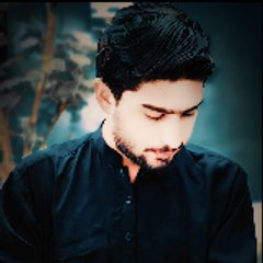 Syed Kanwal