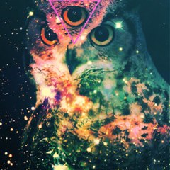3EyeVidz
