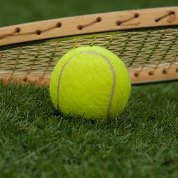 Great Courts by Horst Skoff