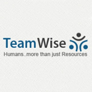 TeamWise