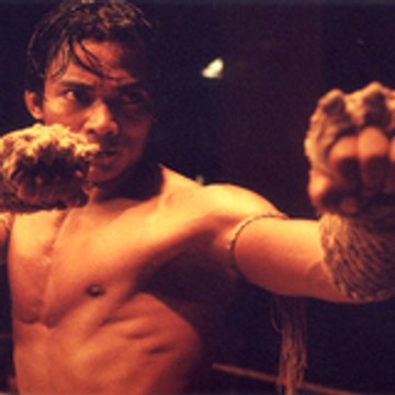 Tarek tarekyeerum