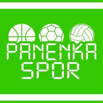 Panenkaspor