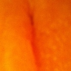 Tanninbalm