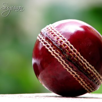 CRICKET WORLD
