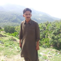 Shahzad Ahmed
