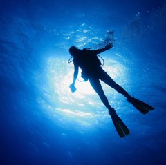 Underwater Universe