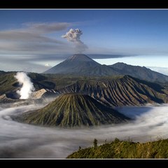 Redaksisuport