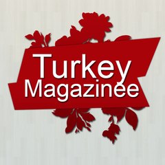 magazinee