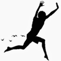 chickencanflycom