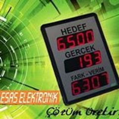 ESAS ELEKTRONiK