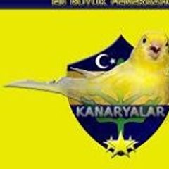 Haktan Yunus Çevik