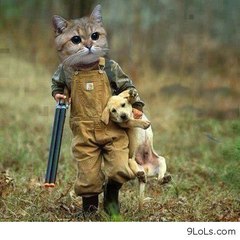 Funny Video