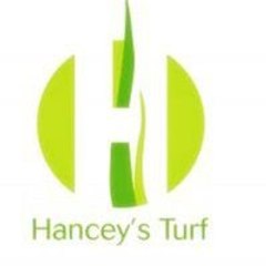 Hanceysturf1