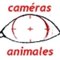 Caméras Animales