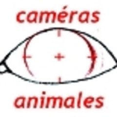 Caméras Animales