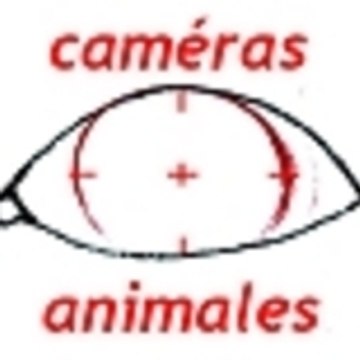 Caméras Animales