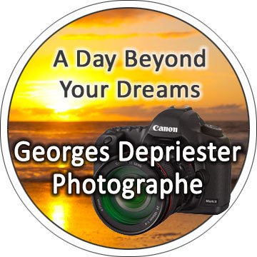 Georges Depriester Photographe Mariage la Reunion