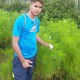 Saeed Rehman