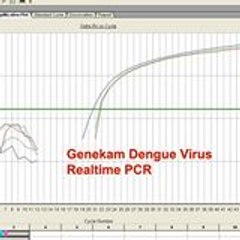 Genekam biotech