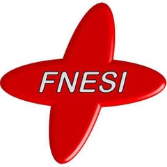 Fnesitv